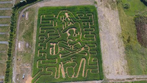 Haunted Corn Maze - Bella Organic Farm - Organic Farm and Winery - Portland, OR