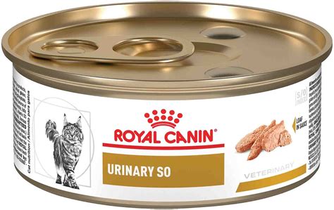 Urinary Cat Food Royal Canin - Royal Canin Urinary Feline Cat Food 7kg | Approved Food : Feline ...