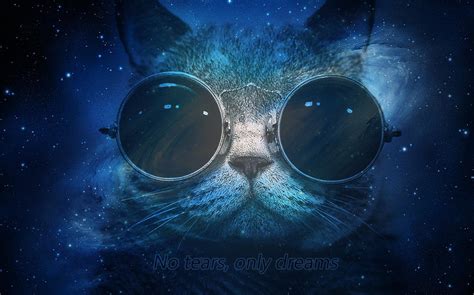 Space Cat Wallpaper - WallpaperSafari