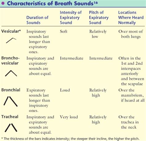 Respiratory Sounds; Breathing Sounds; Lung Sounds; Pleural Rub; Rales; Rhonchi; Stridor ...