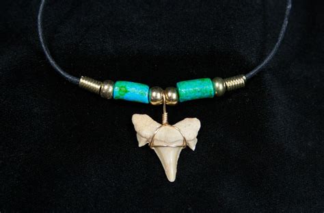 Fossil Shark Tooth Necklace For Sale (#603) - FossilEra.com