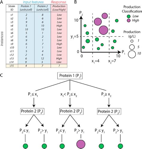 Decision Tree Machine Learning Algorithm