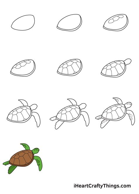 How To Draw A Turtle - Step By Step Drawing Tutorial