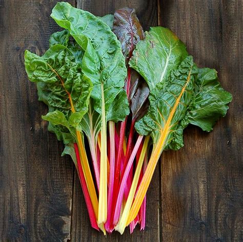 Rainbow Swiss Chard Seed Blend | Thrive Heirloom Seed Emporium