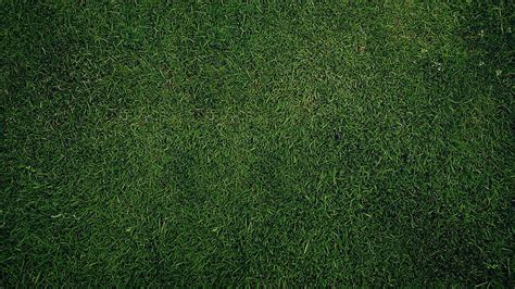 Dark Green Grass Texture And High Resolution [] for your, Mobile & Tablet. Explore Green ...