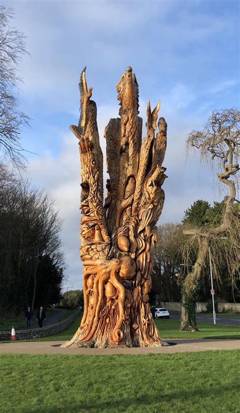 Amazing tree carving, St Anne’s Park, Dublin, Ireland. : r/pics