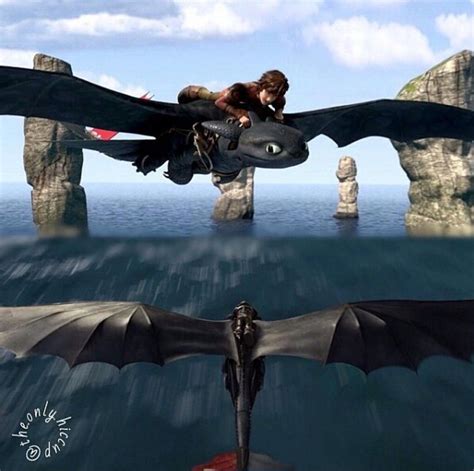 Hiccup and Toothless in RTTE and HTTYD 2. :) Dragons Riders Of Berk, Httyd Dragons, Dreamworks ...