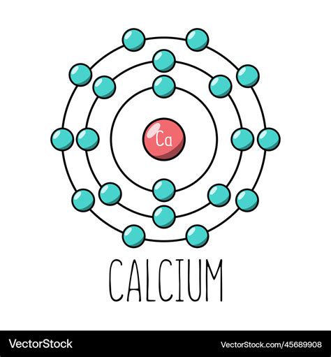 Calcium atom bohr model Royalty Free Vector Image