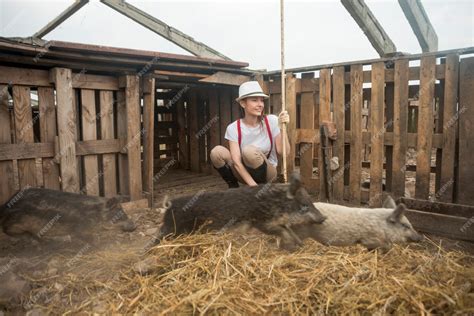 Free Photo | Farmer taking care of pigs in a sty