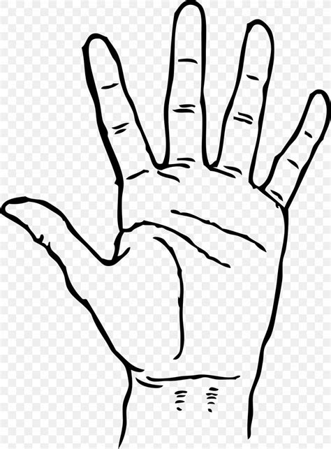 Hand Finger Clip Art, PNG, 1979x2689px, Hand, Area, Arm, Black And White, Blog Download Free