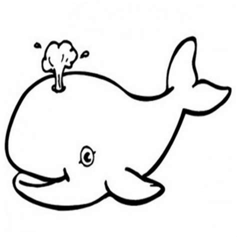 Download High Quality whale clipart black and white Transparent PNG Images - Art Prim clip arts 2019