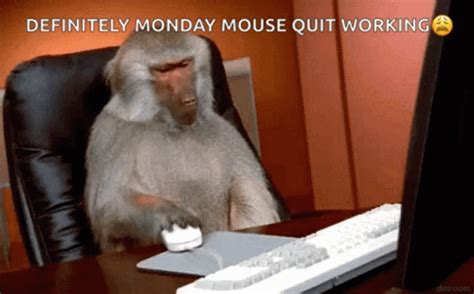 Monkey Business Annoyed GIF - MonkeyBusiness Annoyed Irritated - Discover & Share GIFs | Annoyed ...