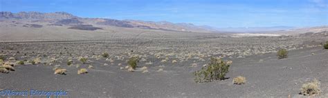 Desert scrub land panorama photo WP36626