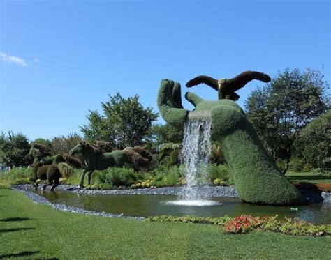 Topiary Design in Fun Animal Shapes