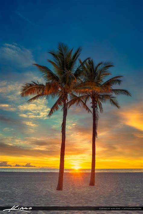 Two Coconut Palm Tree Sunrise at Beach