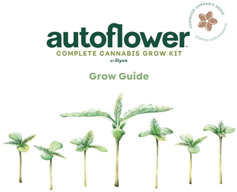 Grow Guide – Autoflower