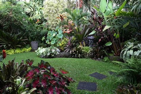 How to Create a Tropical Garden - Tristan Smith Landscape Designs