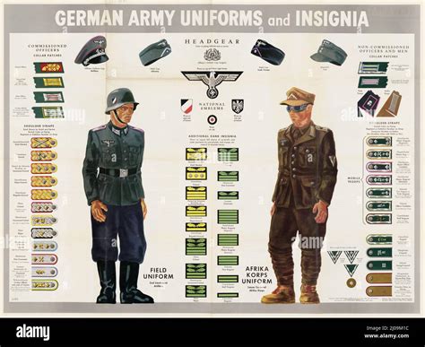 WW2 German Army Uniforms Rank, insignia, National emblems, Headgear, Field, Afrika Korps, Collar ...