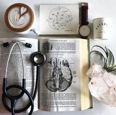 13 Medical aesthetic ideas | medical aesthetic, medical school inspiration, medical school ...