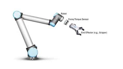 What Are the Parts and Components of Industrial Robots? - EVS Robot