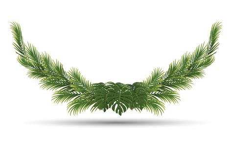 palm leaves frame, green nature leaf border 9100054 Vector Art at Vecteezy