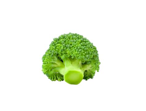 Premium Photo | Broccoli isolated broccoli on white