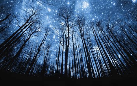 Starry Night Sky Wallpapers - Wallpaper Cave