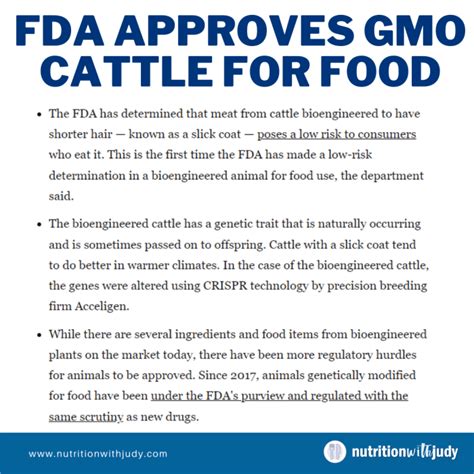 Microblog: GMO Cattle Gets FDA Approval - Nutrition with Judy