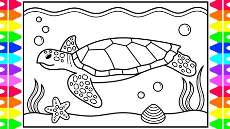 Turtle Drawing For Kids