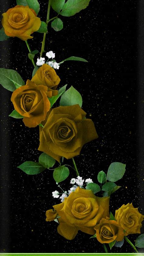 Black and Yellow Roses Wallpapers - Top Free Black and Yellow Roses Backgrounds - WallpaperAccess