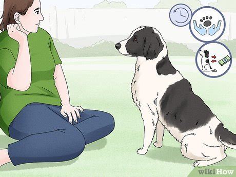 3 Ways to Hug a Dog - wikiHow Pet