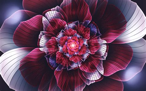 fractal, Abstract, Fractal Flowers, Flowers, Symmetry, Petals, Digital Art Wallpapers HD ...