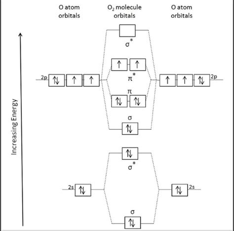 41 orbital diagram for oxygen - Modern Wiring Diagram