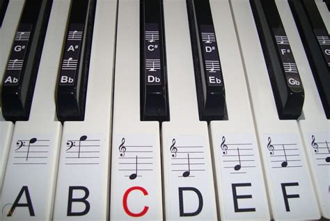 KEYBOARD PIANO LABELS STICKERS FOR BLACK AND WHITE KEYS OF 61 KEY PIANO FULL SET | #1777065443