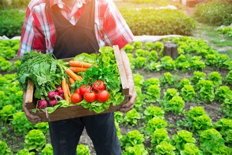 Organic Food Prices: Is Buying Organic Worth The Cost?