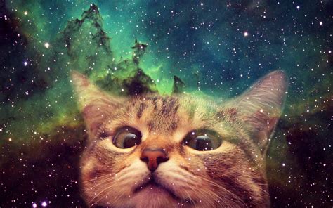 Space Cat Wallpapers - Wallpaper Cave