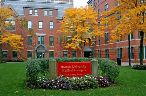 Boston University School of Medicine Çalışanları, Konumları, Eski Çalışanları | LinkedIn