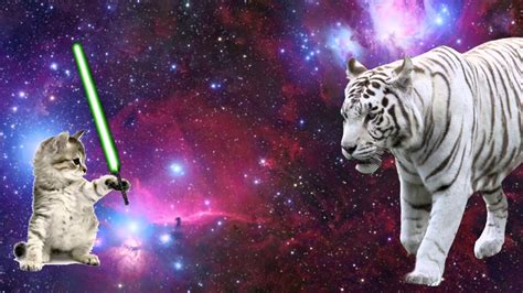 VFX Project 1: "Mega Laser Space Cats Ultra" - YouTube