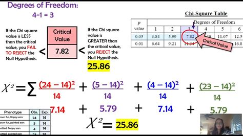 Chi Square Examples And Solutions Pdf