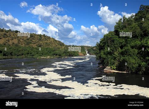 White Nile river in Murchison Falls national park, Uganda, East Africa Stock Photo - Alamy