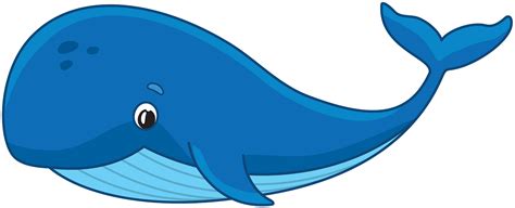 Detail Whale Clipart Transparent Background Koleksi Nomer 14