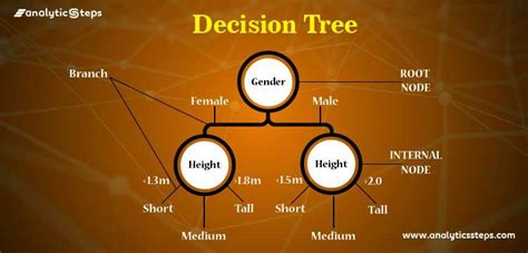 Introduction to Decision Tree Algorithm in Machine Learning | Analytics Steps