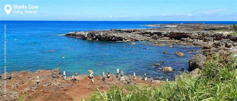 Snorkeling in Sharks Cove, Oahu | Snorkeling in Hawaii