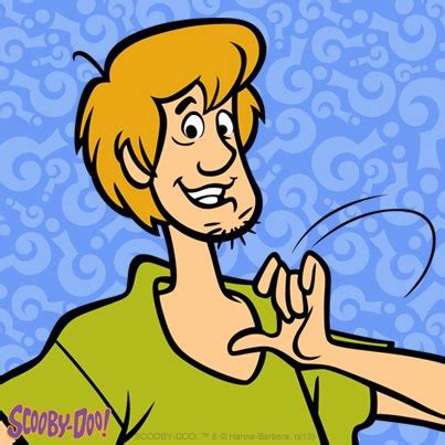 Shaggy - Scooby-Doo Photo (34507524) - Fanpop