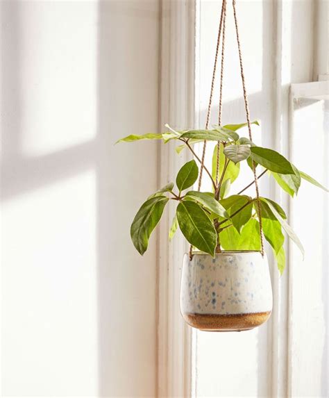 8 Hanging Planters That Will Make You and Your Plants Happy | Hanging planters indoor, Hanging ...