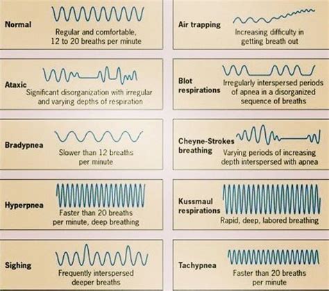 Respiratory Breathing Patterns