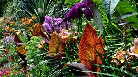 Tropical Garden Design Brisbane - Garden Design Ideas