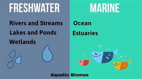 Aquatic Biomes Chart