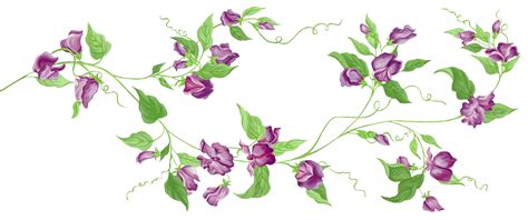 Flower Vine Png - Clip Art Library