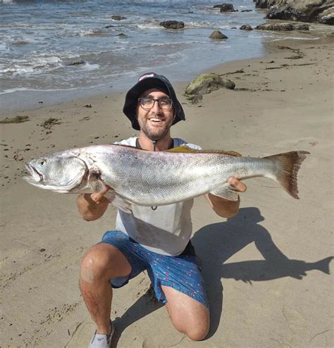 Surf Fishing California – The Top 10 Spots to Cast Your Line for Some Exciting Action. - The ...